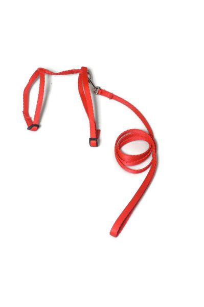 A-059 KOMPLET DLA KOTA V.2 Kolor - Niebieski zdjęcie 6