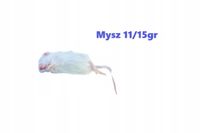 Myszy mrożone 10/15g 25 sztuk + suchy lód