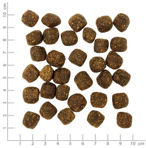 Zdrowy przysmak dla psa wspierający stawy - Wolfsblut indyk i bataty 100g na Arena.pl