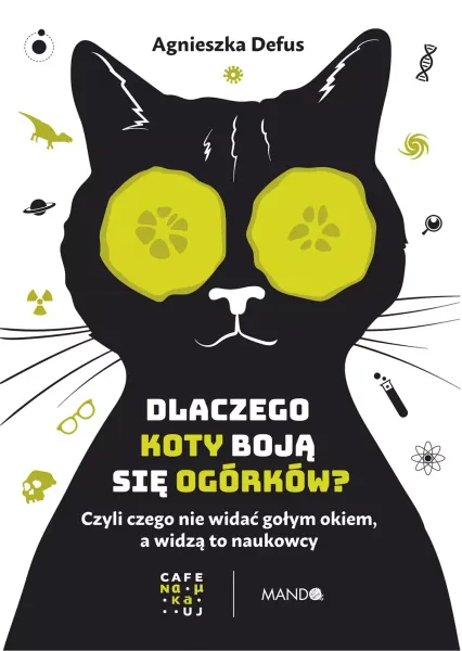 Dlaczego koty boją się ogórków? zdjęcie 1