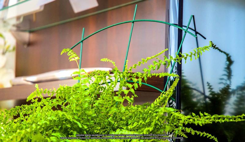 Podpora doniczkowa [2173], ELGarden zdjęcie 4