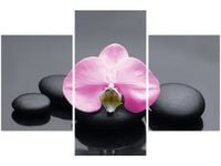 product-compare-58646320