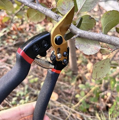 Sekator ogrodowy do cięcia gałęzi krzewów krzaków ostry poręczny na Arena.pl