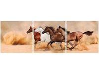 OBRAZ KONIE BIEGNĄCE GALOPEM