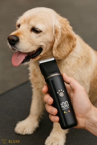 MASZYNKA TRYMER DO DLA PSA ŁAP USZU PSÓW KOTA PILNIK DO PAZURÓW 3w1! na Arena.pl