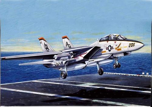 Italeri F-14 A Tomcat na Arena.pl