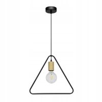 LAMPA WISZĄCA ZWIS SPOT LIGHT CARSTEN WOOD 1652174