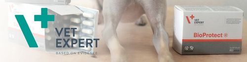 Probiotyk dla psów i kotów na biegunkę Vet Expert Bioprotect 60 kapsułek na Arena.pl