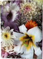 Torebka Prezentowa w Kwiatki Lilie i Gerbery