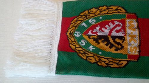 SZAL ŚLĄSK WROCŁAW- DWUSTRONNY DZIANY. na Arena.pl