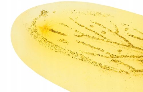 ZB254 KOSTIUM PSZCZÓŁKA na Arena.pl