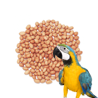 Orzeszki ziemne ptasie, źródło białka i tłuszczów dla ptaków 5 kg