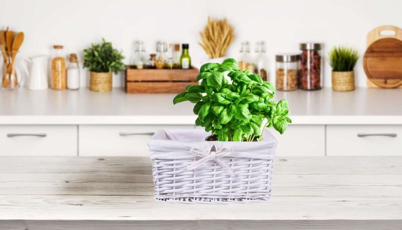 Koszyk wiklinowy 30x20x15 - biały zdjęcie 6