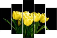 100CM 150CM OBRAZ 5 ELEM ŻÓŁTE TULIPANY- MARK FREETH ŚCIENNY