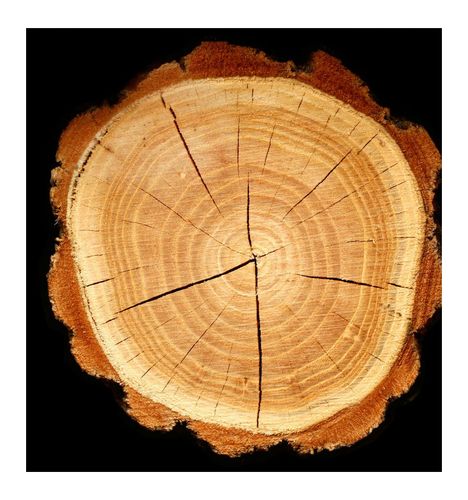 Yodeyma Acqua Woman Woda Perfumowana Dla Kobiet 100ml na Arena.pl