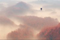 Fototapeta Las we Mgle Jesień BALON do Sypialni 405x270