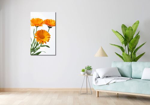 Obraz 50x90cm Słoneczne Kalendule na Arena.pl