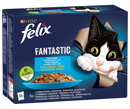 Felix Fantastic Rybne Smaki W Galaretce 12x85g na Arena.pl