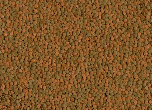 tetra wafer mini mix 100ml na Arena.pl