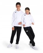 Bluza dziecięca Arena Hooded Sweat Unisex 10-11