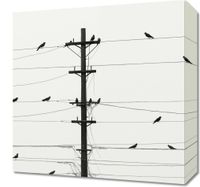 Obraz 40x40cm Symfonia na Drutach