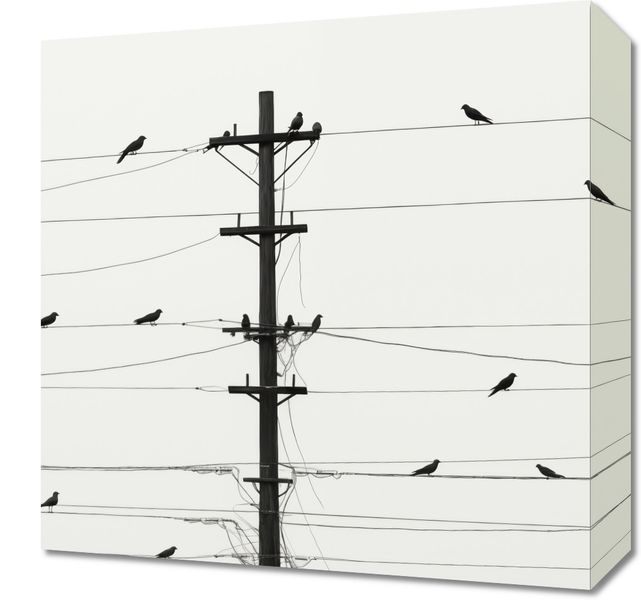 Obraz 40x40cm Symfonia na Drutach zdjęcie 1