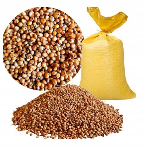 Sorgo czerwone 25kg Karma dla ptaków ziarno dla gołębi ptaków papug na Arena.pl