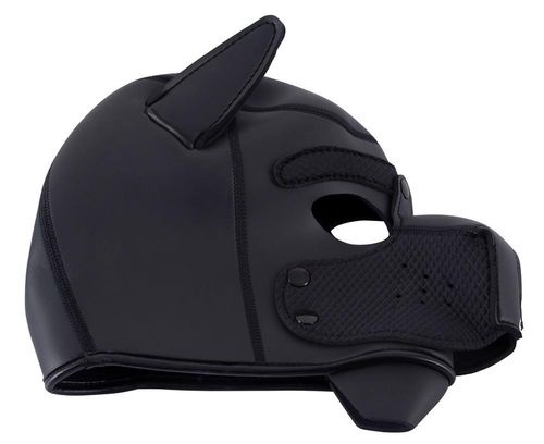 bad kitty dog mask na Arena.pl