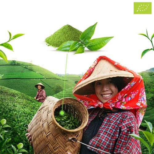 Mary Rose – Matcha Latte (BIO) 100 g na Arena.pl