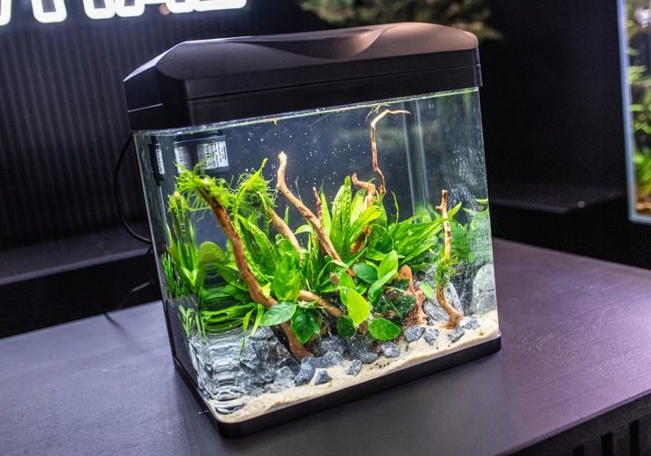 INVITAL EasyTank PRO LED 30L czarny zdjęcie 7