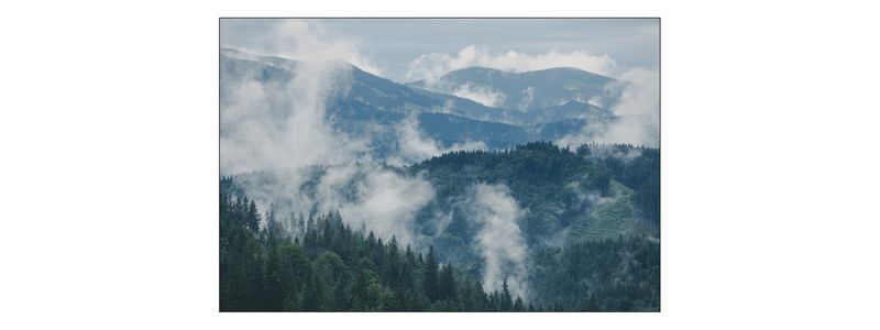 Fototapeta Las we mgle, Leśny Krajobraz, Góry 450x300 na Arena.pl