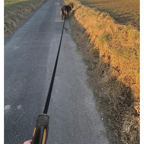 Smycz Automatyczna Dla Psa 8M/50Kg Purlov 19786 na Arena.pl