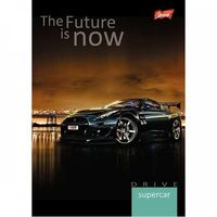 ND39_250411 ZESZYT B5/160K LIN LAM U-PAP 018 FOL