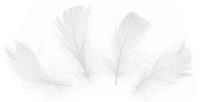 Konfetti piórka krótkie 50 szt. - białe