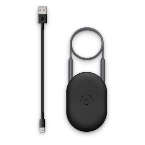 Apple BeatsX Earphones - Grey na Arena.pl