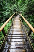 FOTOTAPETA KRAJOBRAZ MOST PRZEJŚCIE LAS WIDOK