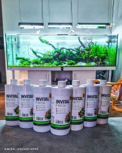 INVITAL Carbon 500ml na Arena.pl