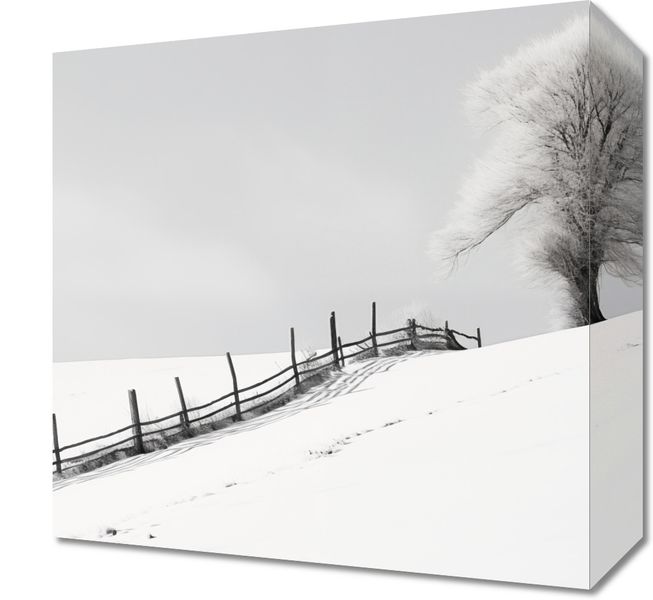 Obraz 30x30cm Samotność Zimy przy Płocie zdjęcie 1