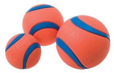 Chuckit! Ultra Ball Medium [170015] na Arena.pl