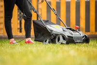 AERATOR WERTYKULATOR ELEKTRYCZNY LEHMANN DO TRAWY REGULACJA Z KOSZEM 2600W