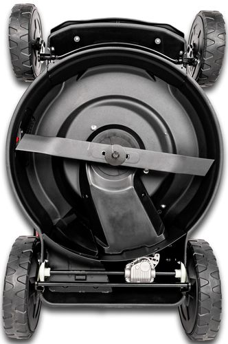 CEDRUS KS53S-E KOSIARKA SPALINOWA DO TRAWY Z NAPĘDEM I ROZRUSZNIKIEM KS53 - 53cm / 5,7 KM  - EWIMAX - OFICJALNY DYSTRYBUTOR - AUTORYZOWANY DEALER CEDRUS na Arena.pl