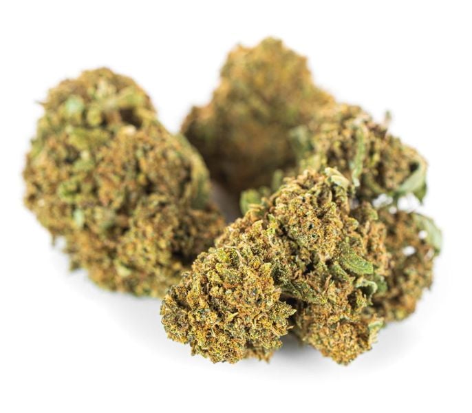 Susz konopny CBD Jack Herer 20 g zdjęcie 9