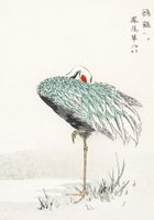 Plakat 70x100cm White-naped Crane, Kashu Vintage do Salonu