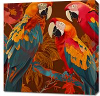 Obraz 70x70cm Kolorowe Ary