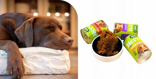 Mokra karma dla psa Hero MIX SMAKÓW kawałki w galaretce 24 x 400g 9,6 kg na Arena.pl