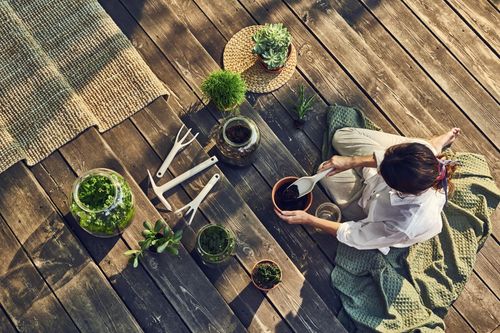 Kultywator pastel błękitny Cellfast Energo na Arena.pl