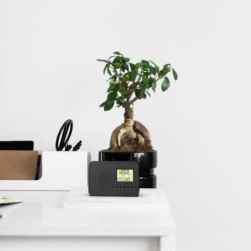 Radio Evoom LEKIO Czarny na Arena.pl