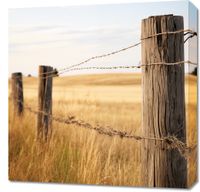 Obraz 60x60cm Płot na Polu