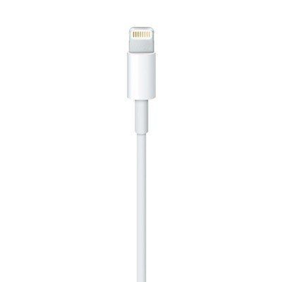 Lightning to USB Cable (2 m) na Arena.pl