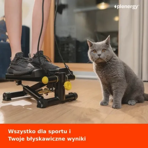 Stepper Plenergy X1 z linami zasilania na Arena.pl
